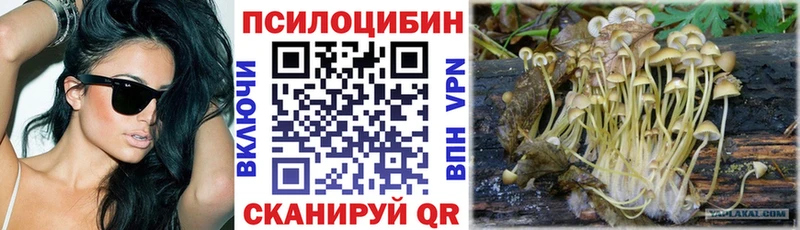Галлюциногенные грибы Magic Shrooms  Подольск 