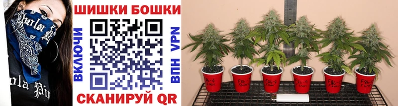 Каннабис SATIVA & INDICA  Подольск 